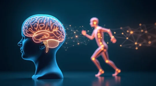 Interaction symbolique entre cerveau et corps humain montrant la rééducation fonctionnelle